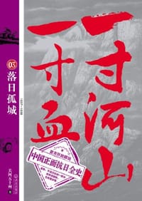 书籍 一寸河山一寸血.3的封面