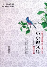 书籍 小小说30年精华本的封面