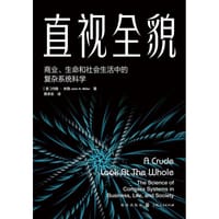 直视全貌