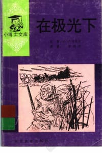 在极光下