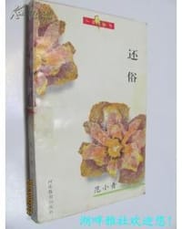 书籍 还俗的封面