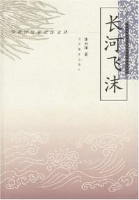 书籍 长河飞沫的封面