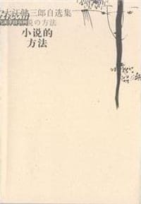 书籍 小说的方法的封面