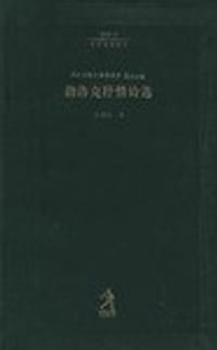 书籍 勃洛克抒情诗选的封面