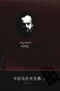 书籍 卡拉马佐夫兄弟（上下）的封面
