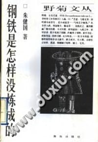 书籍 钢铁是怎样没炼成的的封面