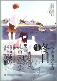 书籍 一个普通少年的冬日的封面