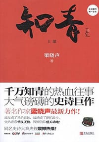 书籍 知青的封面