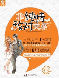 书籍 非纯情敌对关系的封面