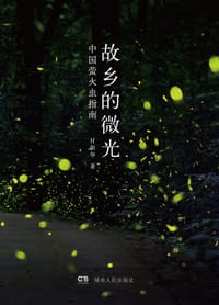 故乡的微光 - 付新华