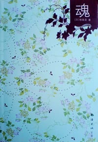 书籍 魂的封面