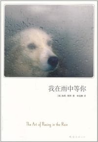 书籍 我在雨中等你的封面
