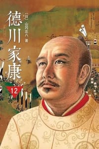 书籍 德川家康12·大坂风云的封面