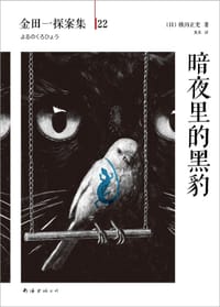 书籍 暗夜里的黑豹的封面