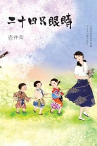 书籍 二十四只眼睛的封面