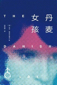 丹麦女孩 - [美] 大卫·埃贝尔舍夫
