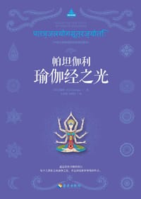 帕坦伽利瑜伽经之光