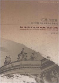 书籍 辽远的迷魅的封面