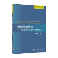 翻译策略研究
