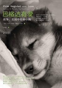 巴格达有爱 - [美] 杰伊·科普曼