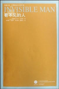 书籍 看不见的人的封面