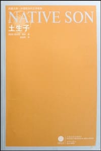 书籍 土生子的封面