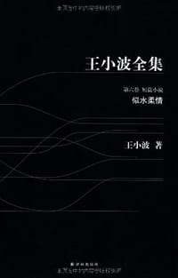 似水柔情 - 王小波