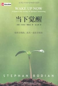 书籍 当下觉醒的封面