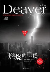 书籍 燃烧的电缆的封面
