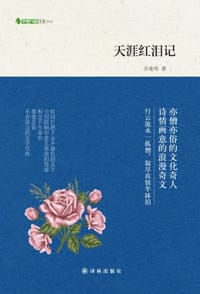 书籍 天涯红泪记的封面