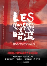 书籍 暗流的封面