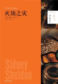 书籍 灭顶之灾的封面