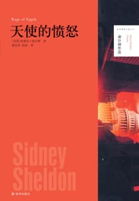 书籍 天使的愤怒的封面