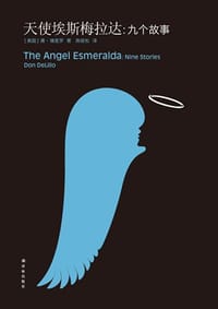 书籍 天使埃斯梅拉达的封面