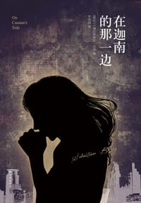 书籍 在迦南的那一边的封面