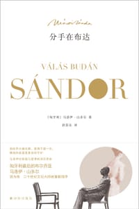 书籍 分手在布达的封面