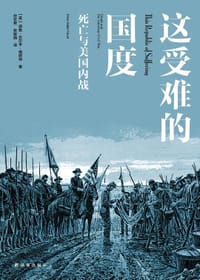 书籍 这受难的国度的封面