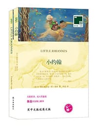 书籍 小约翰的封面
