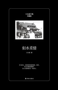 似水柔情（珍藏版） - 王小波