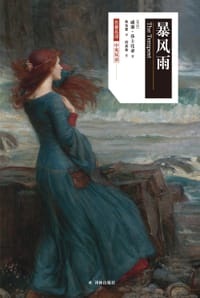 书籍 暴风雨的封面