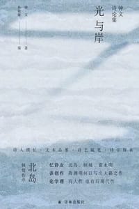 光与岸：钟文诗论集