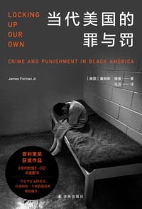 书籍 当代美国的罪与罚的封面