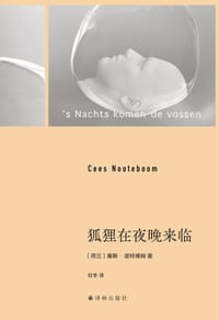 书籍 狐狸在夜晚来临的封面