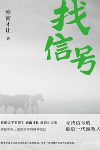 书籍 找信号的封面