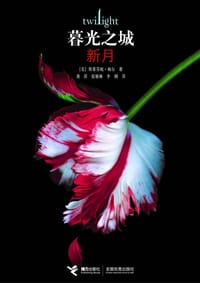 书籍 新月的封面