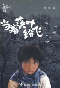 书籍 当着落叶纷飞的封面