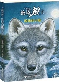 书籍 孤独的小狼的封面