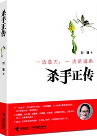 书籍 杀手正传的封面