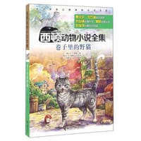 巷子里的野猫