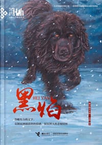 书籍 黑焰的封面